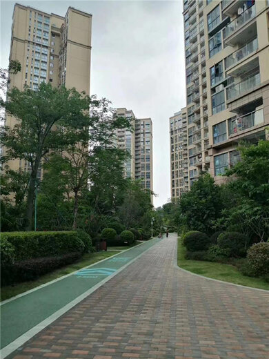 五山统建房最新消息,五山统建房最新消息，一场城市发展的热议