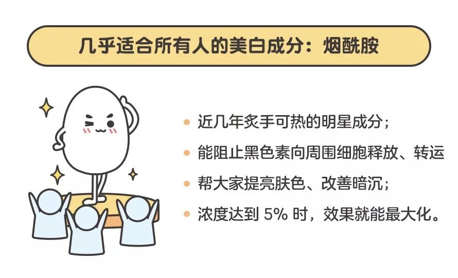巷弄秘境，探索隐藏在小巷深处的特色小店之旅