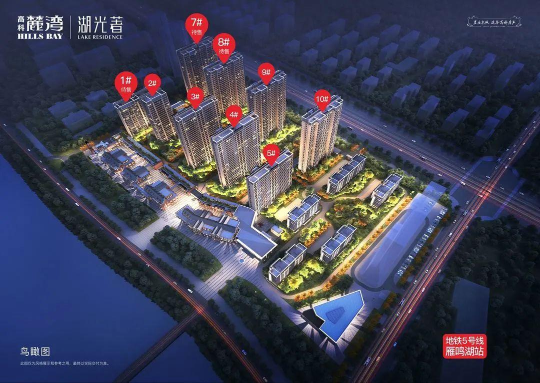 2025年度热门社会摇舞蹈，时代旋律与文化印记