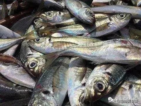 小红书分享，揭秘氨基酸价格秘密🔍