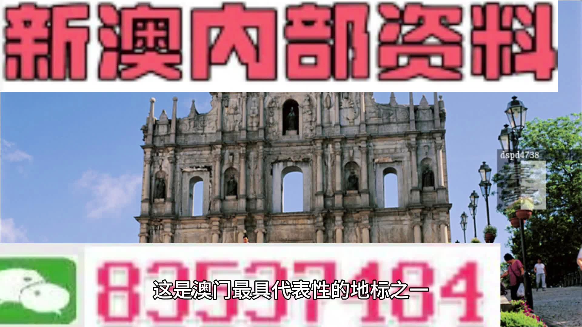 新澳正版免费全年资料公开,稳固执行方案计划_TSW57.367无限版