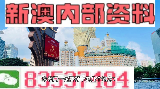 澳门最精准免费100%软件特色,深度研究解析_VPH57.816视频版