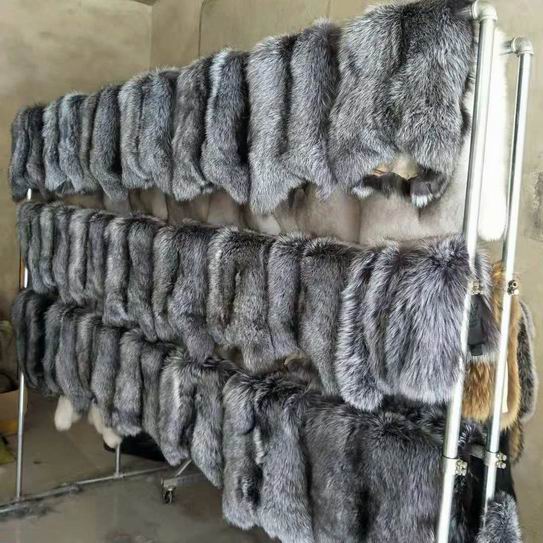 最新狐狸皮价格行情,最新狐狸皮价格行情