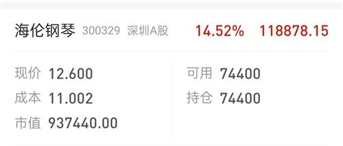 海伦钢琴股票最新动态，市场走势分析与展望