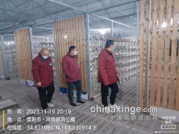 周口鸿鑫公棚最新公告，小巷深处的独特风味盛宴揭晓