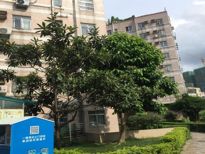 巨野帝都花园最新动态，全面指南与步骤详解