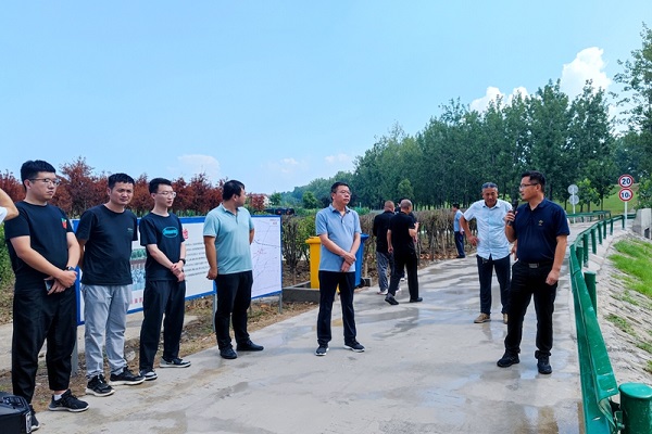 阜阳南照镇最新新闻汇总与观点分析