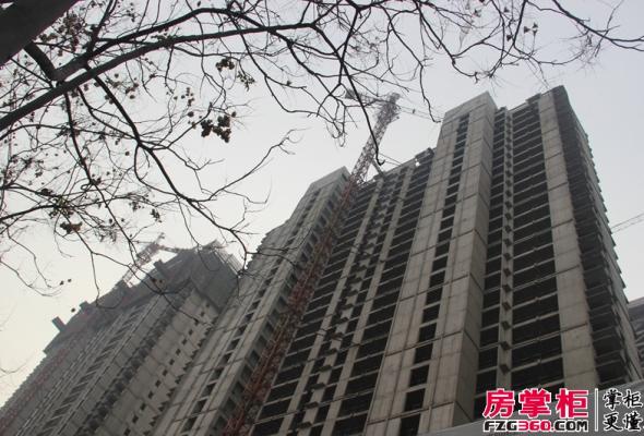 洛阳世纪王城最新动态概览，最新指南与更新速递