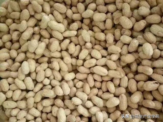 驻马店花生米最新价格,驻马店花生米最新价格，时代的印记与市场的脉动