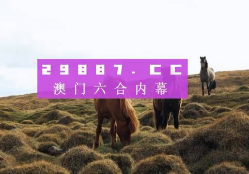 2024新澳门历史开奖记录,实地观察解释定义_动感版99.204