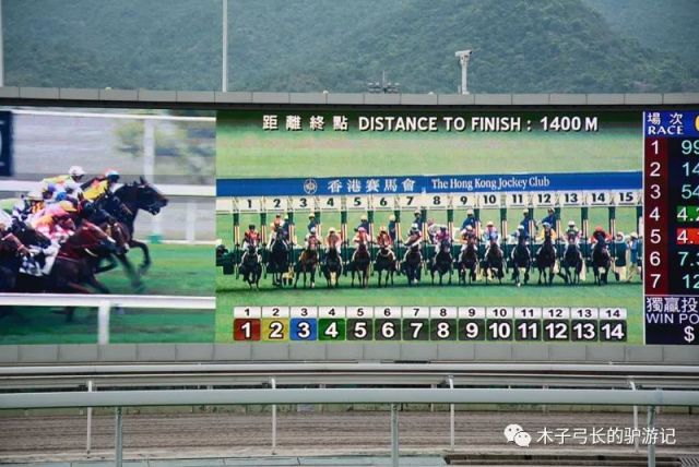 2024香港赛马全年免费资料,全盘细明说明_物联网版5.339