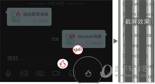 管家婆最准一码一肖,科学分析解释说明_限定版34.713