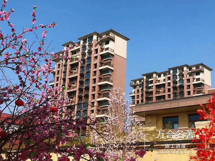 最新万合名著，探寻文学巅峰之作