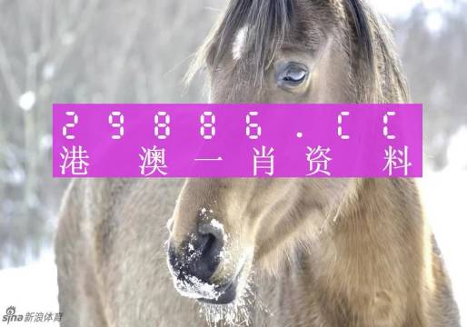 最准一肖一码100%澳门,科学解说指法律_套件版95.610