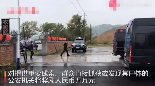 宾县最新事件回顾与概述