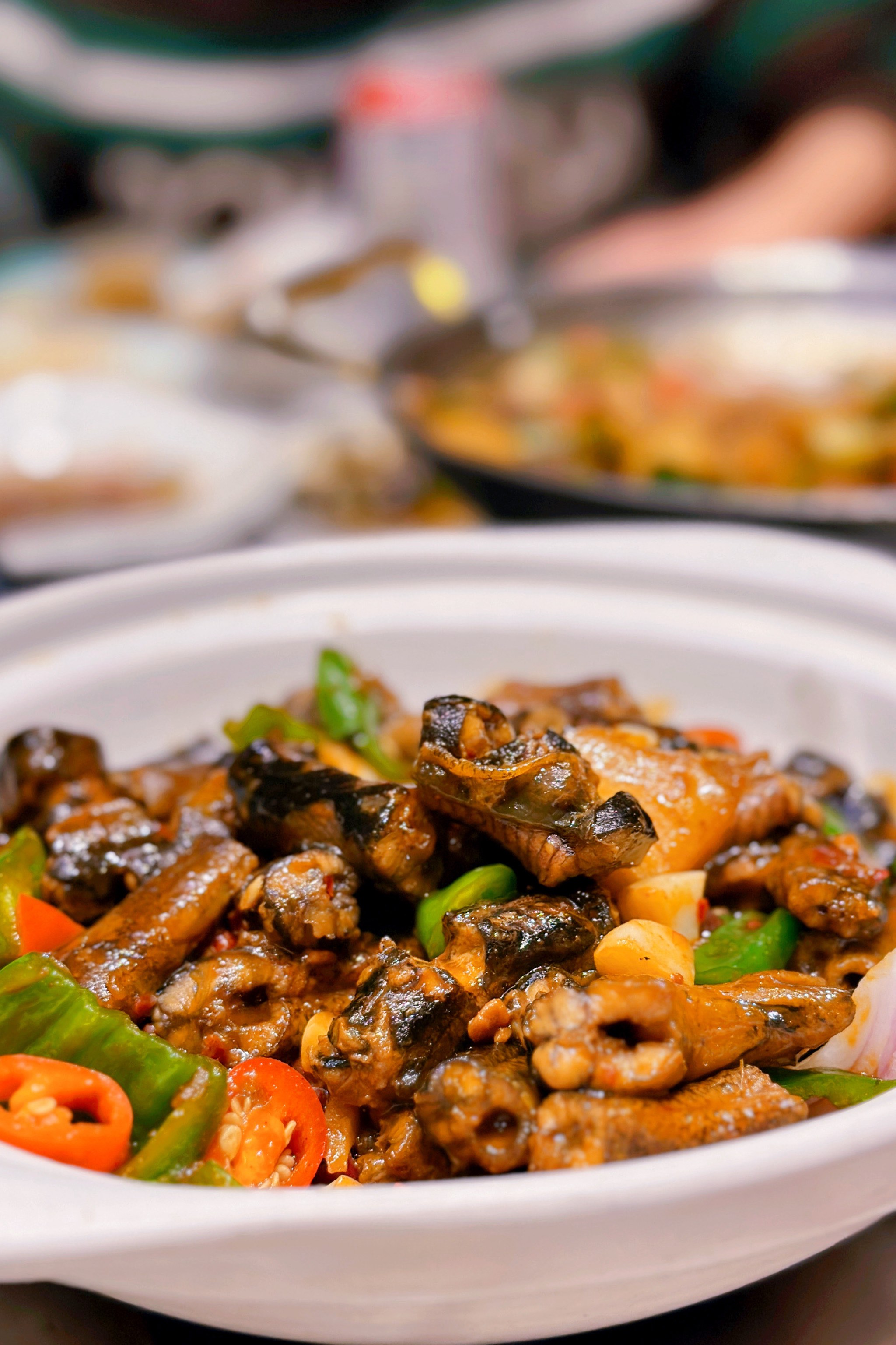 科技烹饪重塑味蕾盛宴，最新土菜引领潮流