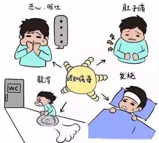 肺炎最新动态更新，最新进展与态势分析