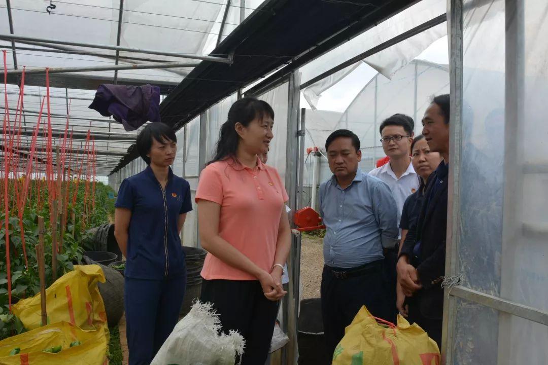 赫章人才招聘信息，科技引领未来，人才汇聚之地
