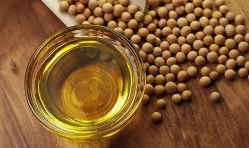 豆油最新行情，时代波澜与市场的脉动同步
