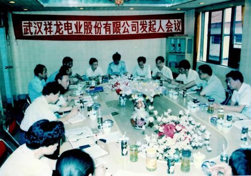 祥龙电业最新动态，电线背后的魔法与友情的温馨旅程