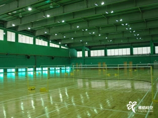 地坛羽毛球馆价格深度探讨与观点碰撞，多角度下的分析解读
