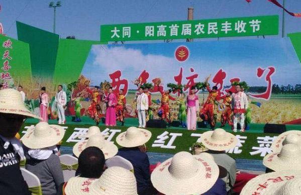 大同新发地最新动态深度分析与观点阐述