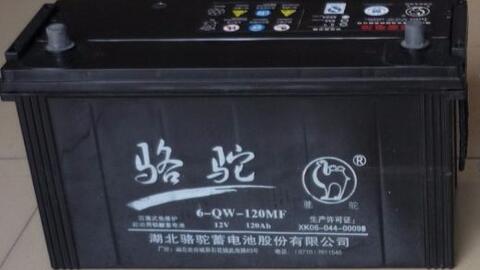 小红书分享，骆驼牌蓄电池价格揭秘与比较