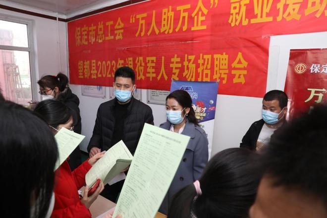望都县最新职位招聘详解与观点论述