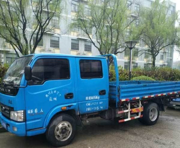 蓝牌货车最新政策解析，多方观点与个人立场探讨