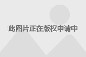 上海话剧演员，演绎都市舞台的璀璨星辰传奇