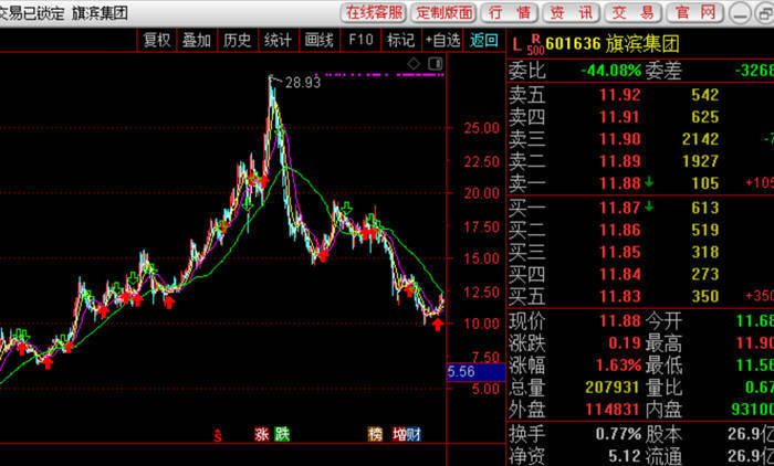 旗宾集团股票行情深度解析📉