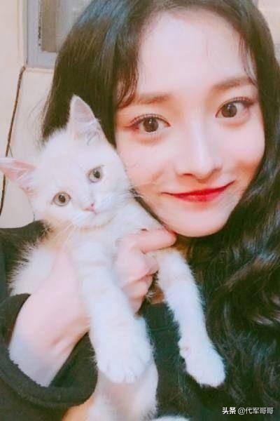 揭秘养猫男明星的高科技神器，智能生活新体验！