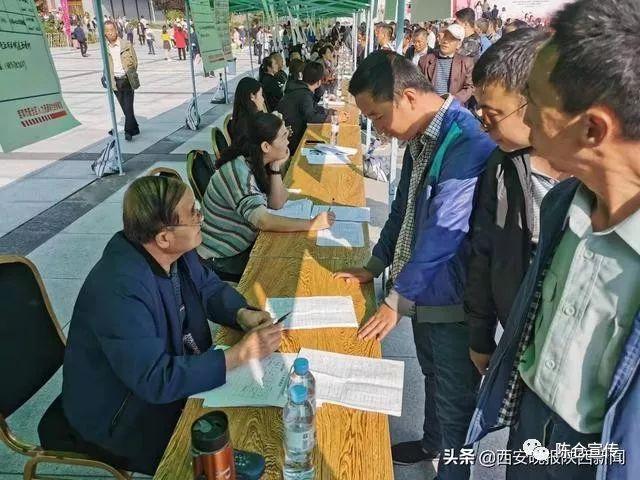陈仓区最新职位招聘，职业发展的理想选择