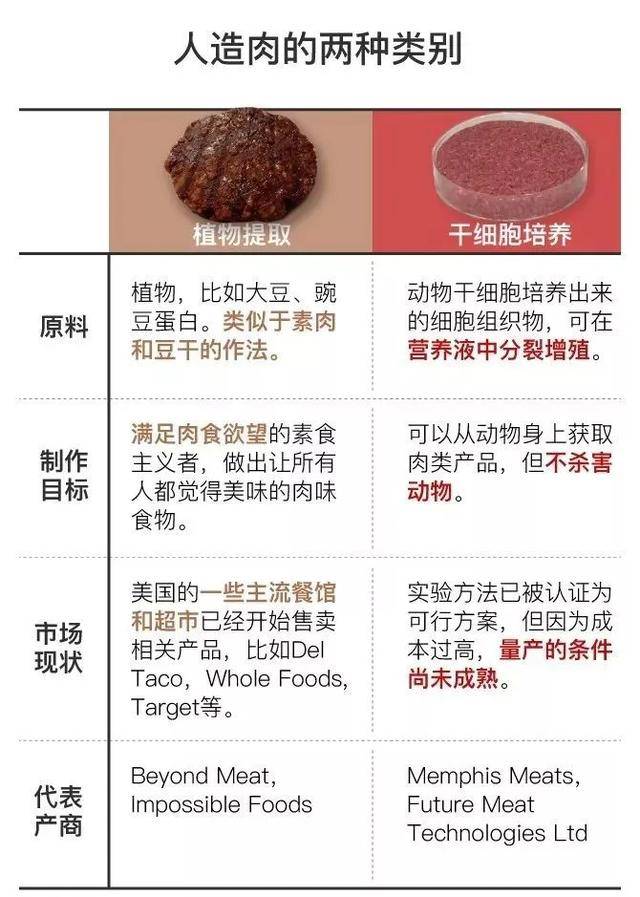 人造食物最新趋势，与自然美景的旅行邂逅探索内心平和之旅
