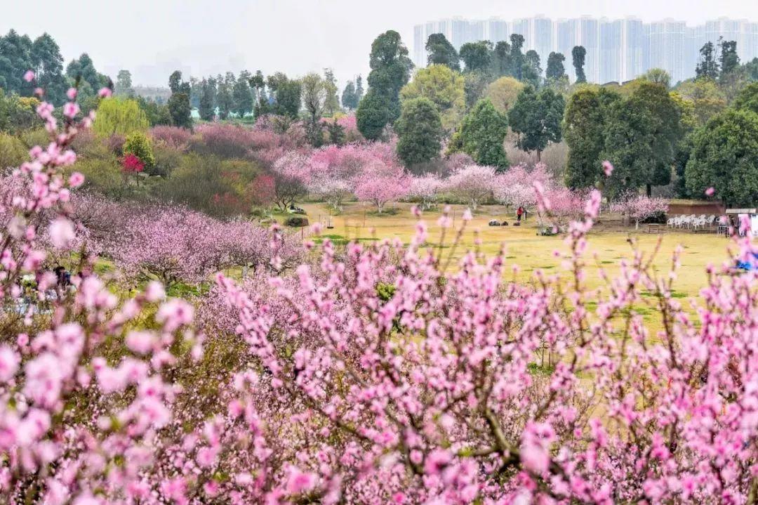 探索秀丽东方最新自然美景之旅