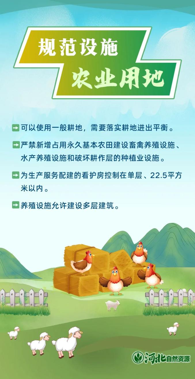 最新耕地建房，家园建设之旅的温馨启程
