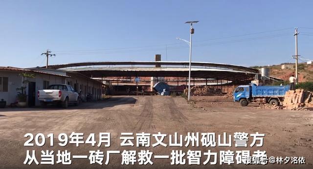 砚山砖厂日常趣事揭秘，最新动态与欢乐瞬间