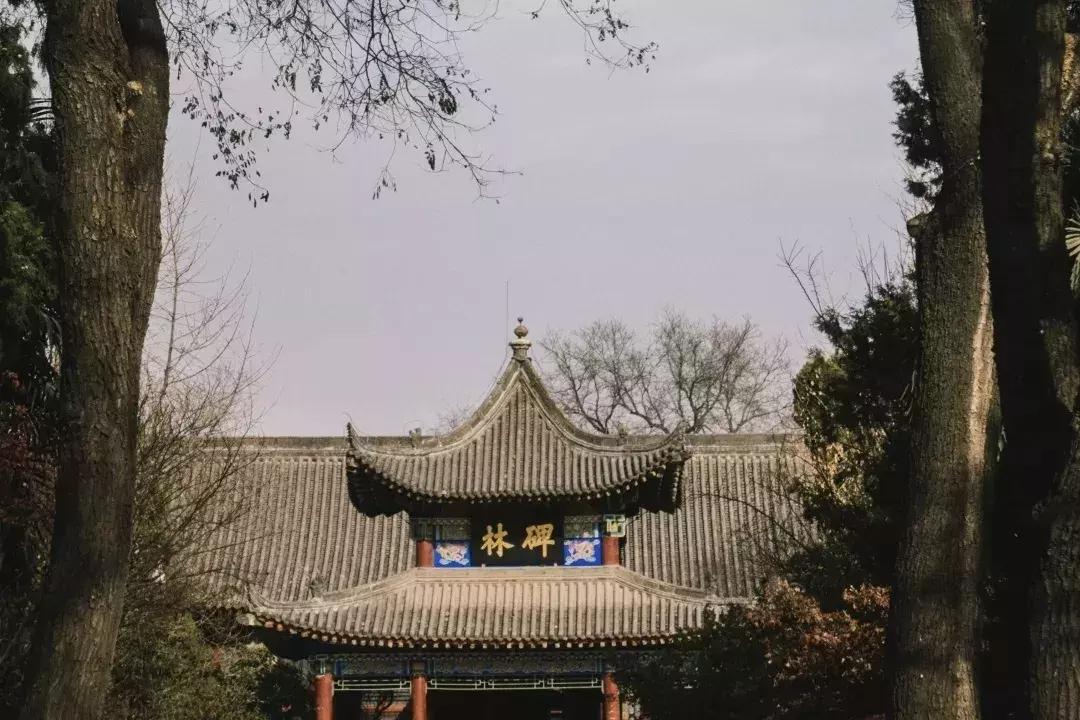 最新安家感悟，家的温暖与友情深度交织的温馨体验