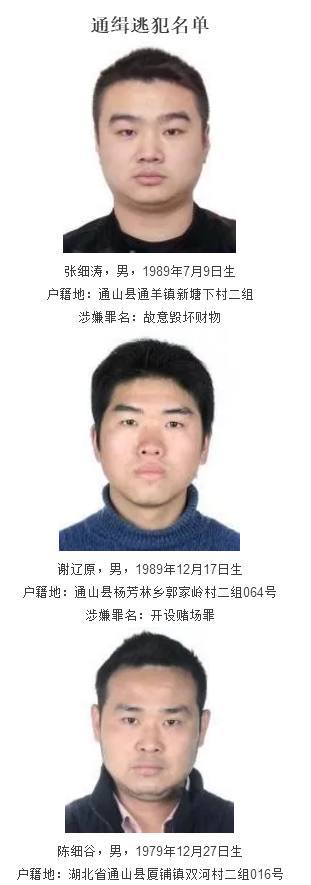 通山最新死者事件，社会现象深度探讨