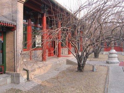 最新潜龙邸，变化中的学习之旅，自信与成就感的孕育之地
