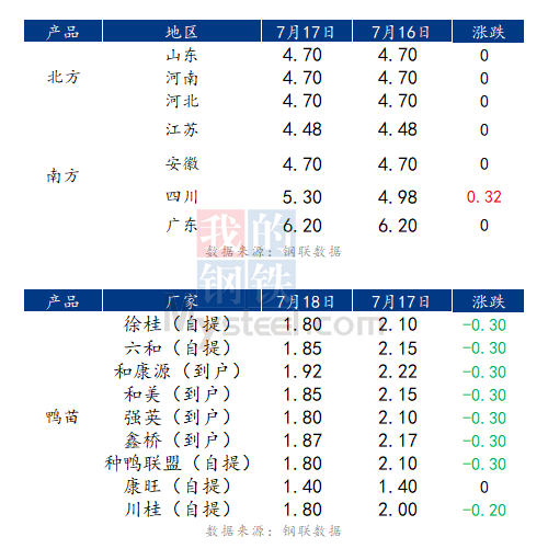 种蛋最新价格揭秘，奇妙旅程中的温馨价格标签